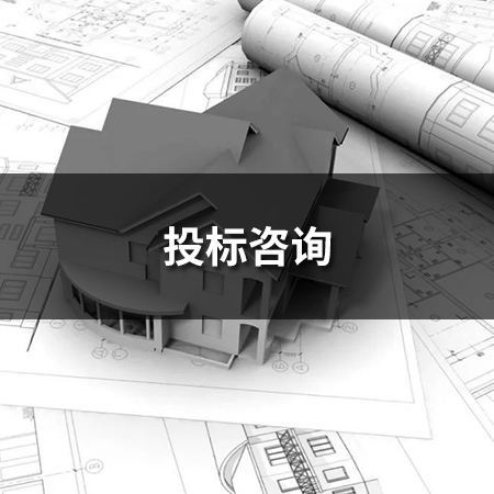 投標(biāo)咨詢